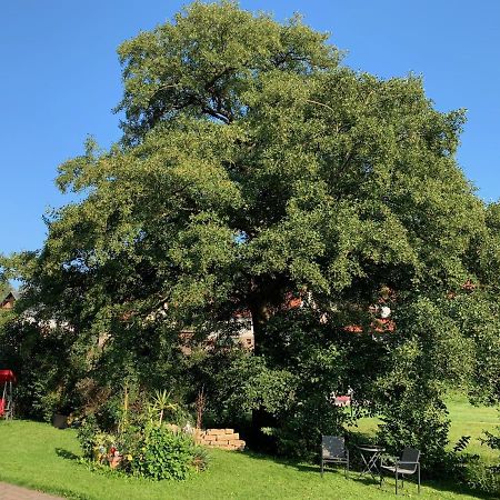 Ferienwohnung Am Rennsteig Bei Eisenach - Ilona Schmidt Wolfsburg-Unkeroda Exterior foto